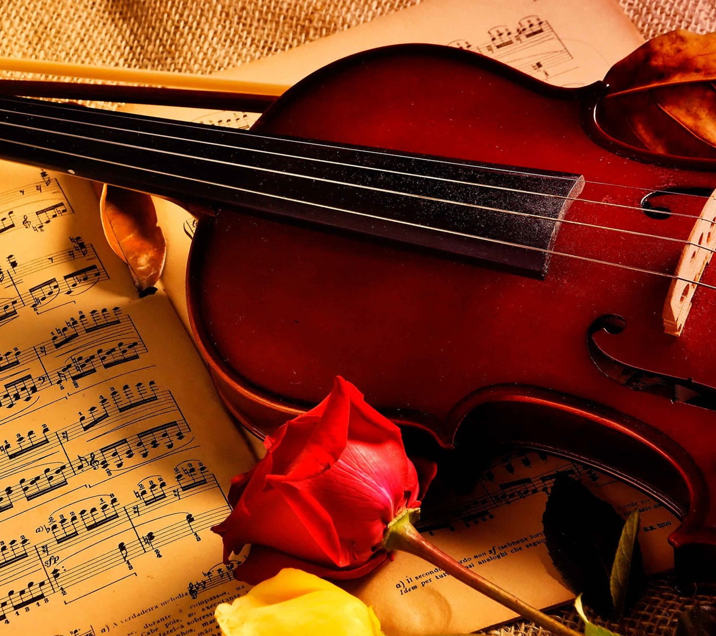 學習大提琴，先了解大提琴各部位名稱才能快速進步-棋洪提琴