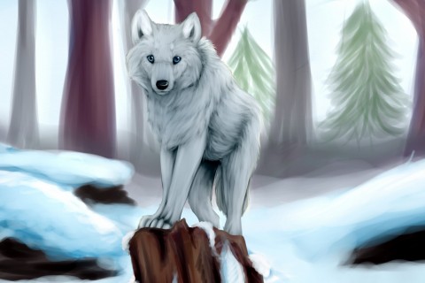 立在树桩上的狼 立在树桩上的狼壁纸 立在树桩