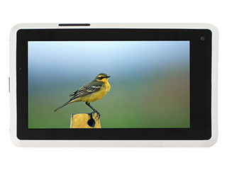 飞利浦Tablet7 PI3000图片