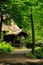 森林小屋