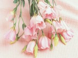 粉红色的花