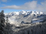 雪景