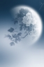 星球
