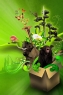 创意