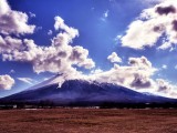 风景
