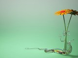 瓶中花