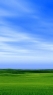 风景