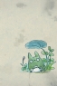 龙猫
