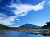 风景