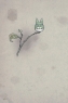 龙猫