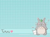 龙猫