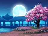 美丽风光