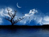 夜景