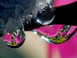 晶莹水珠