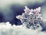 雪花
