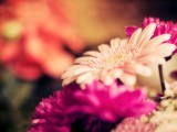 花花世界