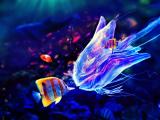 创意水母