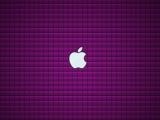 紫色方格苹果