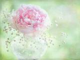 春暖花开