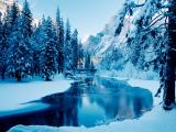 唯美雪天美景