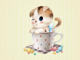 可爱杯中小猫