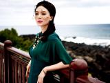 一代枭雄陈数