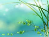 清新竹林