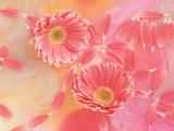 水中花