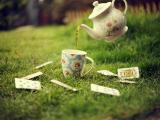 草坪上的茶具
