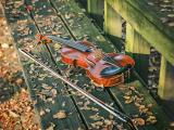 我的小提琴之梦