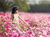 花丛中的小女孩