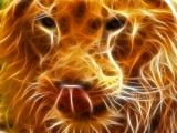 超酷动物光线狮子
