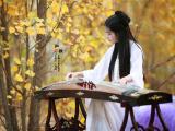 中国古筝艺术