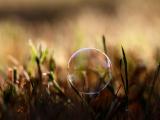 草丛中的泡泡
