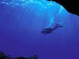 潜入海底世界