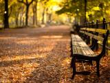 秋天里的纽约中央公园