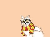 戴眼镜的猫