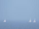 海雾中的帆船