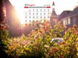 2016年8月花卉日历