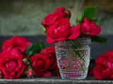 玻璃杯中的红玫瑰插花