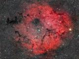IC 1396象鼻星云