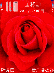 红玫瑰 02