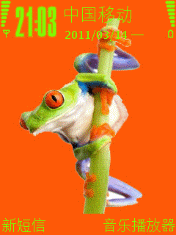 青蛙 04