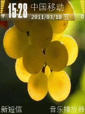 黄色葡萄果实