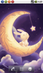 月亮兔