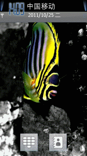 黄斑鱼