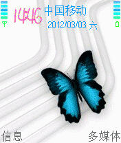 蓝蝶