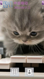 猫的钢琴人生