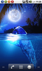 鲸鱼之月